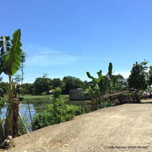 Residential Lot along the Road, Pagdalagan, San Fernando City, La Union